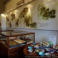 DSC04382.JPG