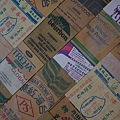 DSC04509.JPG