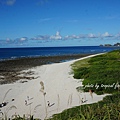 DSC06903