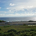 DSC06920
