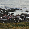 DSC07173