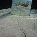DSCN0296.JPG