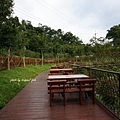 DSC09161.JPG
