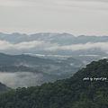 DSC09381.JPG