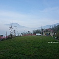 DSC02513