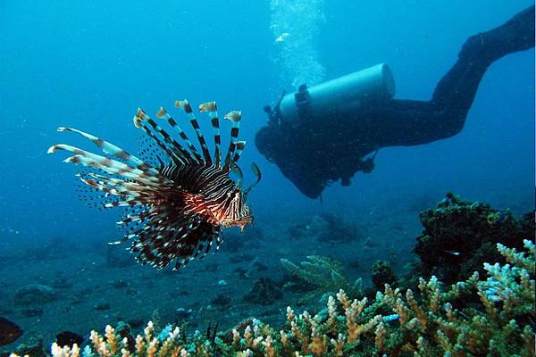 18d2dc476096e1601a161e903da8d5d48a36c26e-e981e.jpg 18d2dc476096e1601a161e903da8d5d48a36c26e-e981e.jpg