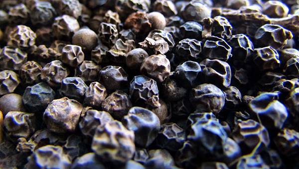 Black_pepper_(By_R.Boroujerdi).JPG Black_pepper_(By_R.Boroujerdi).JPG