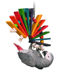 SUPERBIRD 寵物鳥玩具 安全好玩