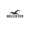 hollister