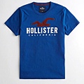 Hollister logo 服飾T恤