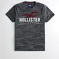 Hollister logo 服飾T恤