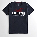 Hollister logo 服飾T恤