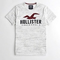 Hollister logo 服飾T恤