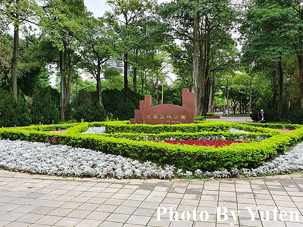 台北杜鵑花季