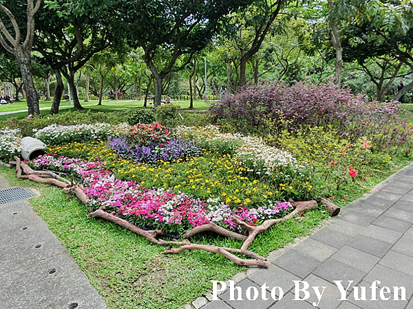 台北杜鵑花季