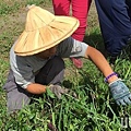 原本的溫室已不夠使用，拙茁家園的院生只能在烈日下工作，容易中暑,台北市七星扶輪社熱心捐贈30萬元作為興建新溫室的經費，希望讓每天辛勤工作的院生有良好的工作環境.jpg