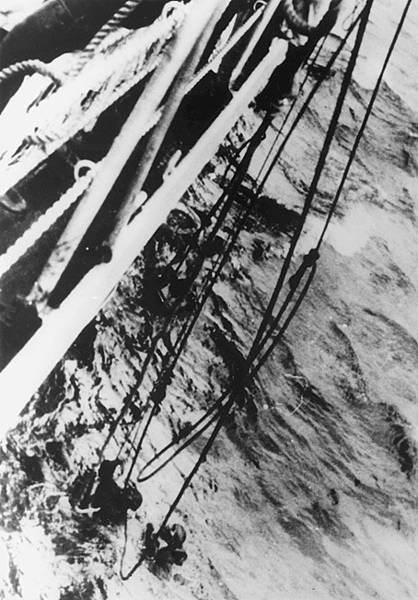 WW-Glowworm-2-HTJan04.jpg WW-Glowworm-2-HTJan04.jpg