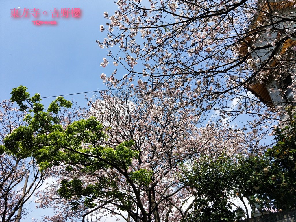 東方寺 (2).jpg