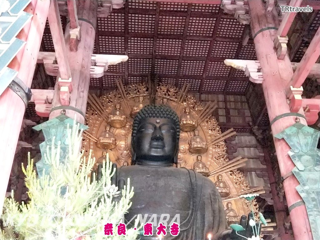 L【美品】東大寺大佛殿丸瓦拓本/公照書額　額付き 東大寺大佛殿丸瓦拓本/公照書額 東大寺大佛殿丸瓦拓本/