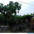 不往法雨寺，直走往民家