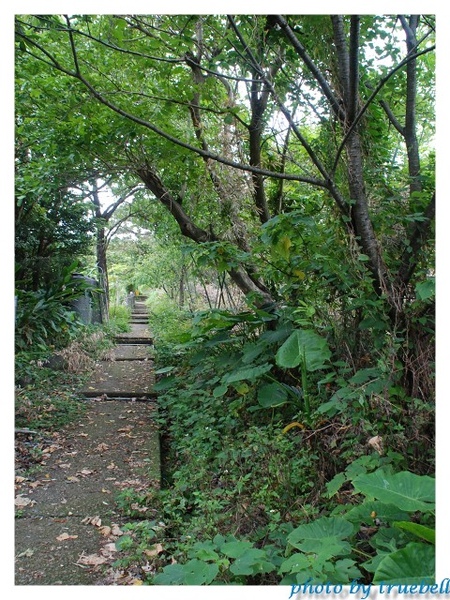 通往登山路的石階