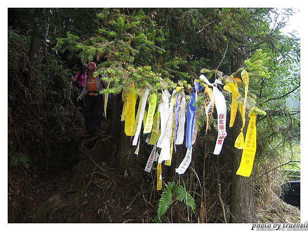 回到登山口