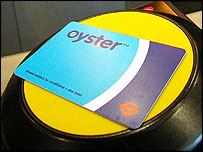 oyster