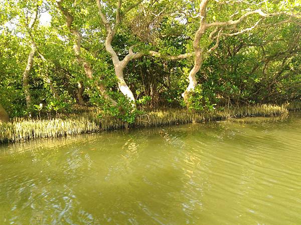 VP_20161031_085956.jpg VP_20161031_085956.jpg