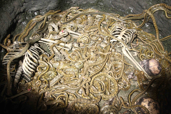 0120 新聞劇照-幕後側拍3.千蛇洞井底滿佈蛇屍骨和毒蠍