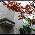Kyoto2