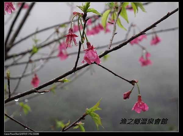 漁之鄉溫泉會館-3