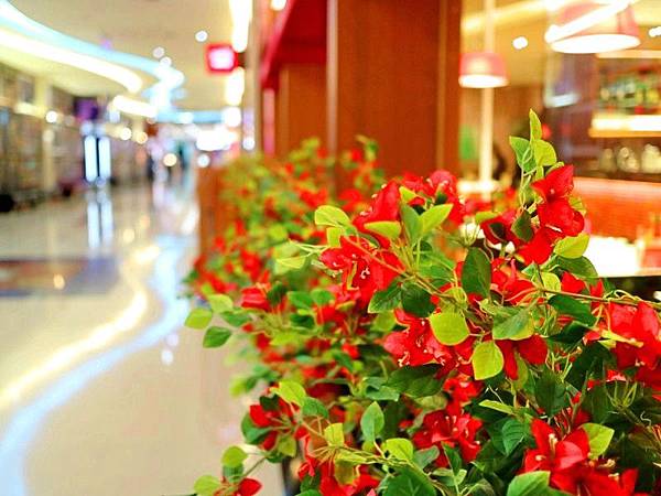 IMG_8642.jpg IMG_8642.jpg