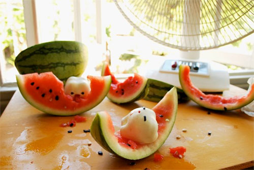 20090714-potd-watermelon-teeth