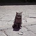 smallP1210785.JPG