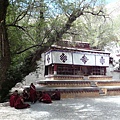 smallP1210799.JPG