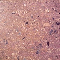 smallP1210744.JPG
