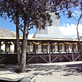 smallP1210791.JPG
