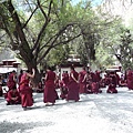 smallP1210794.JPG