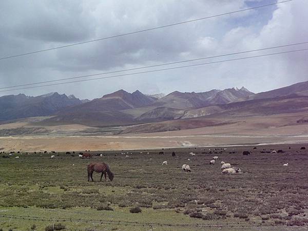 smallP1240007.JPG