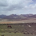 smallP1240007.JPG