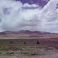smallP1240006.JPG