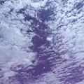 smallP1240011.JPG
