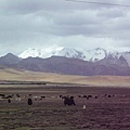 smallP1240018.JPG