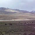 smallP1240017.JPG