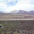 smallP1240016.JPG