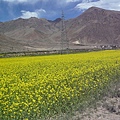 smallP1240030.JPG