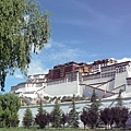 smallP1240047.JPG