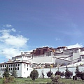 smallP1240050.JPG