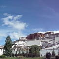 smallP1240049.JPG
