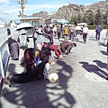 smallP1240054.JPG